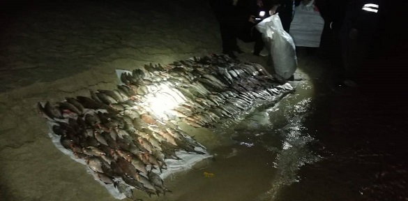 Боротьба з браконьєрами: на Черкащині виявили чоловіків, які виловили червонокнижну рибу