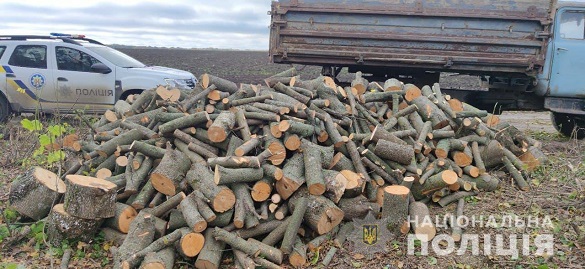 Черкащанин незаконно нарубав дерев на 10 тисяч гривень (ФОТО)