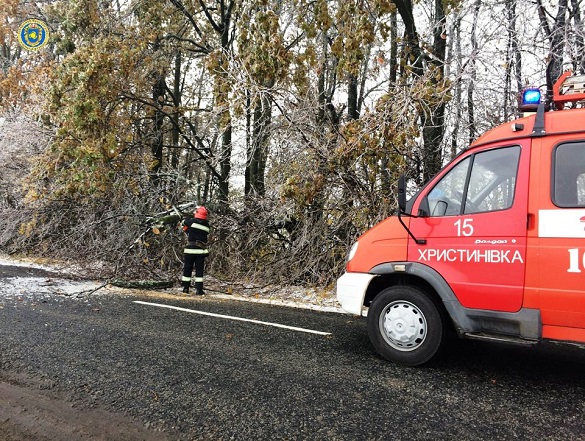 Ускладнювало рух: у Черкаській області на дорогу впало дерево (ФОТО)