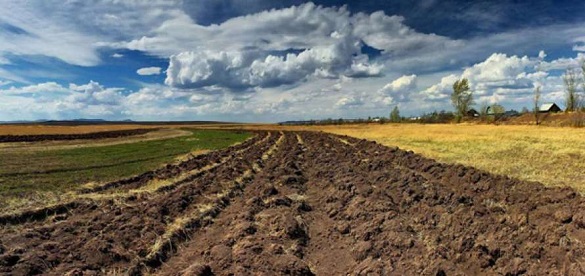 Громадам Черкащини передали понад 10 гектарів земель сільськогосподарського призначення