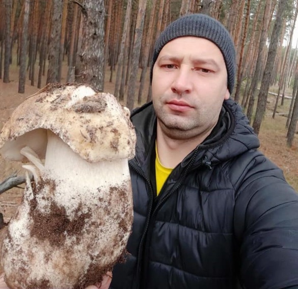 Під зиму: черкащанин знайшов майже кілограмового білого гриба