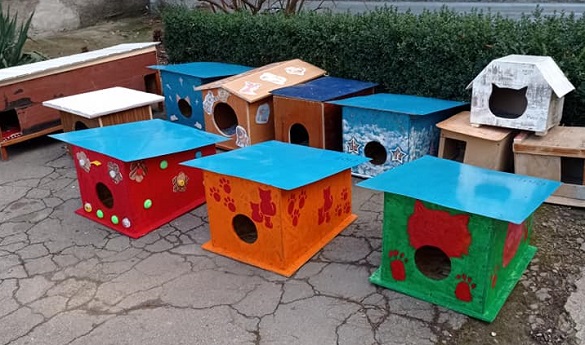 Хатинка для друга: на Черкащині діти створили домівки для безпритульних тварин