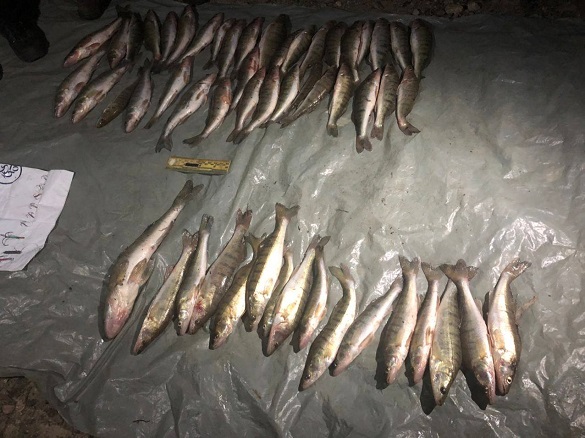 Браконьєри на Черкащині виловили 30 кілограмів риби методом багріння (ФОТО)