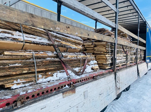 Підприємиця з Черкащини намагалась незаконно експортувати до ЄС цінну деревину на 300 тисяч євро