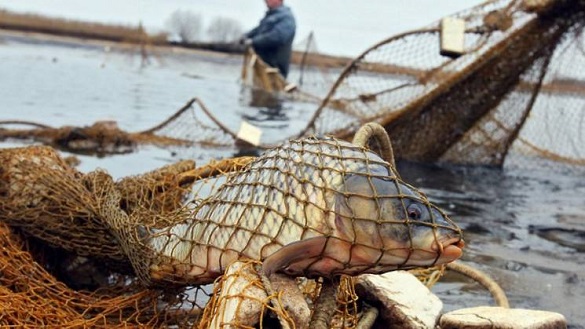 У Черкаській області затримали браконьєра, який завдав збитків на майже 20 тисяч гривень