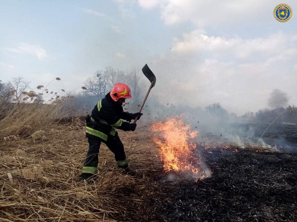 Мешканці села на Черкащині спіймали палія сухої трави 