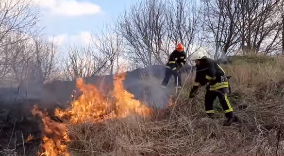 За добу рятувальники Черкащини 9 разів гасили пожежі в екосистемах (ВІДЕО)