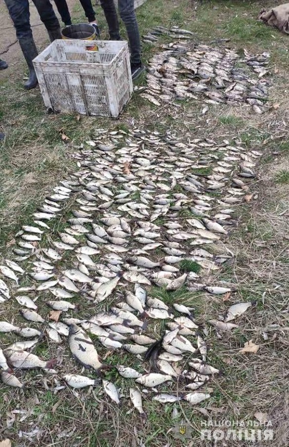 На Черкащині затримали браконьєрів, які наловили риби майже на 100 тисяч гривень (ФОТО)