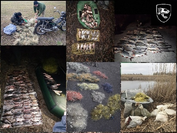 Боротьба з браконьєрами триває: за тиждень на Черкащині інспектори зафіксували майже 100 порушень