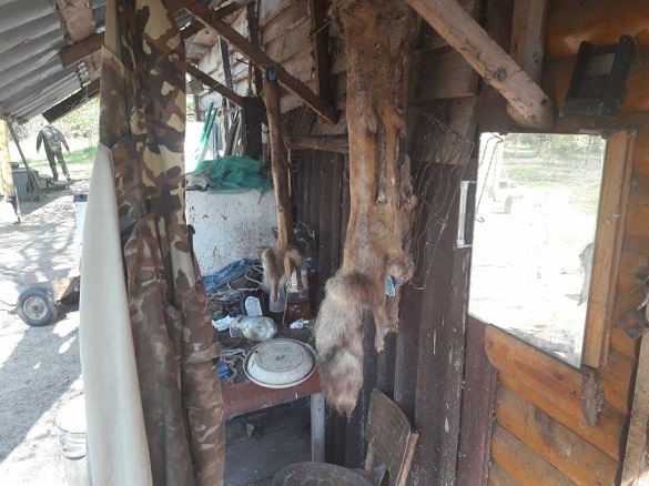 Вбиті єноти та засолена риба: на Черкащині затримали браконьєрів (ФОТО, ВІДЕО)