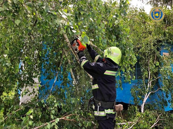 На Черкащині через негоду дерево впало на відділення поштового зв’язку