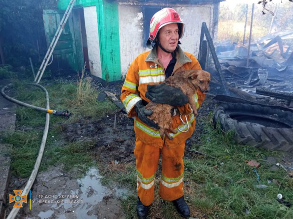 Із вогню в Черкаській області врятували собаку (ФОТО)