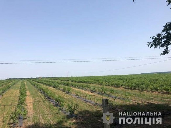 На Черкащині власники ферми побили працівників управління Держпраці, коли ті проводили перевірку