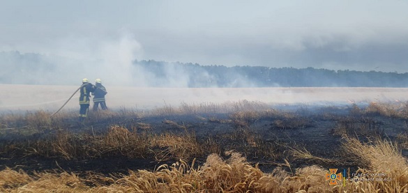У Черкаській області сталася пожежі на полі з пшеницею (ФОТО)
