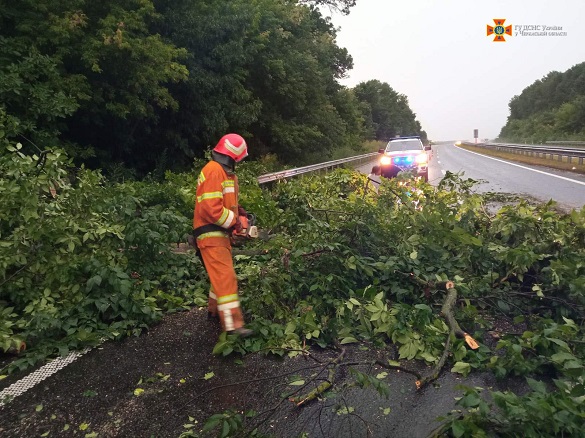 На Черкащині рятувальники двічі за добу прибирали дерева з дороги