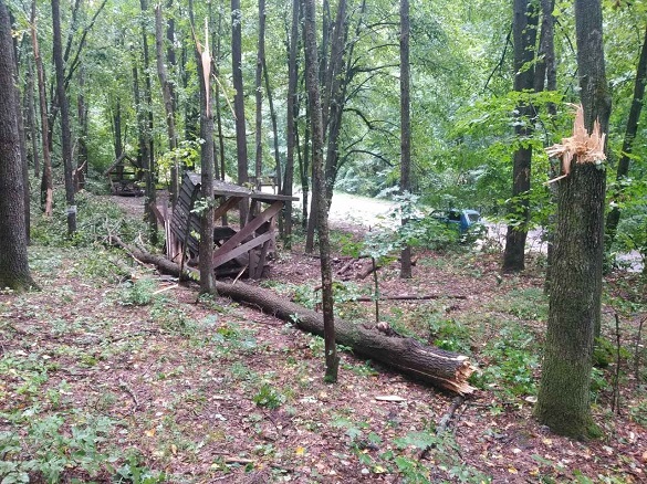 Негода пошкодила лісові масиви у Холодному Яру на Черкащині (ФОТО)