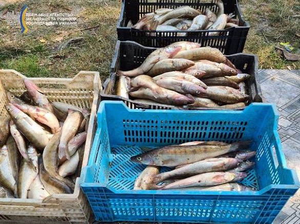 Майже 250 тисяч збитків: чоловік на Черкащині незаконно ловив рибу (ФОТО)