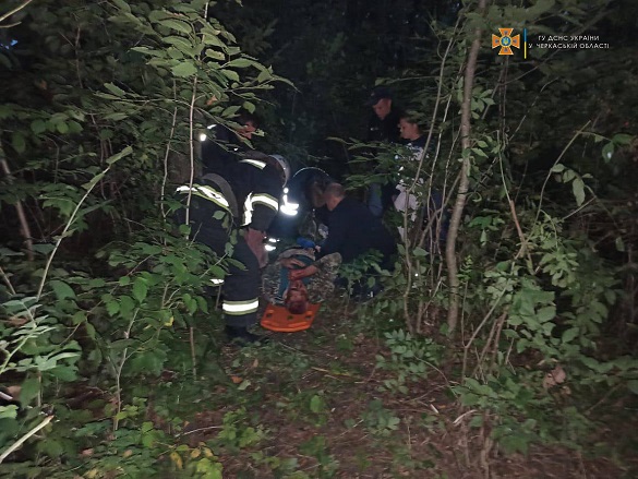 На Черкащині чоловік травмувався під час зрізання дерева: його забрала 