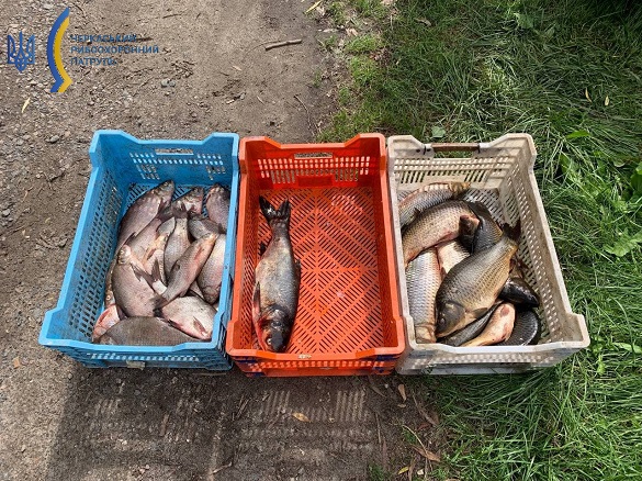 Купив рибу без документів: в Черкаській області на чоловіка склали протокол (ФОТО)