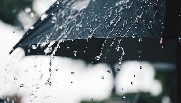 Дощі в Черкаській області триватимуть і завтра