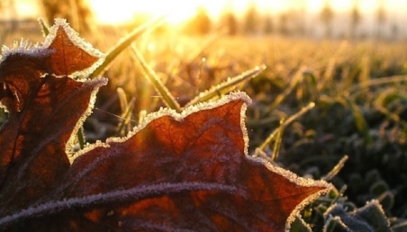 Синоптики прогнозують до 5 градусів морозу на Черкащині цього тижня