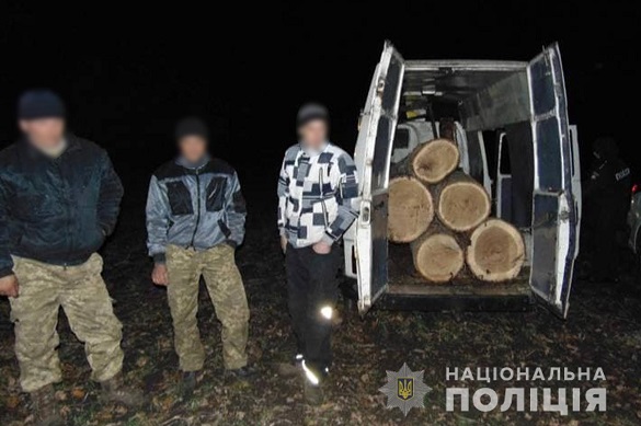 У Черкаській області троє чоловік вирубували дерева (ФОТО)