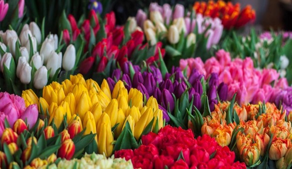 Де та коли в Черкасах продаватимуть квіти до Міжнародного жіночого дня