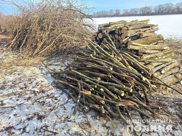 Вирубав понад 70 дерев: на Черкащині залізничники виявили зловмисника (ФОТО)