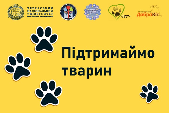 Черкаські студенти збирають гроші на допомогу тваринам