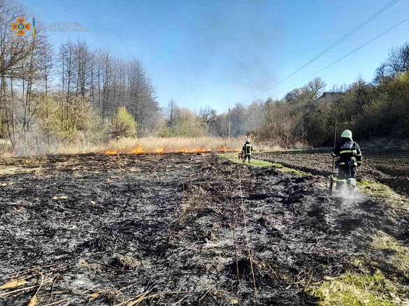 10 пожеж та понад 20 гектарів відкритої території: на Черкащині знову горіла трава (ФОТО)