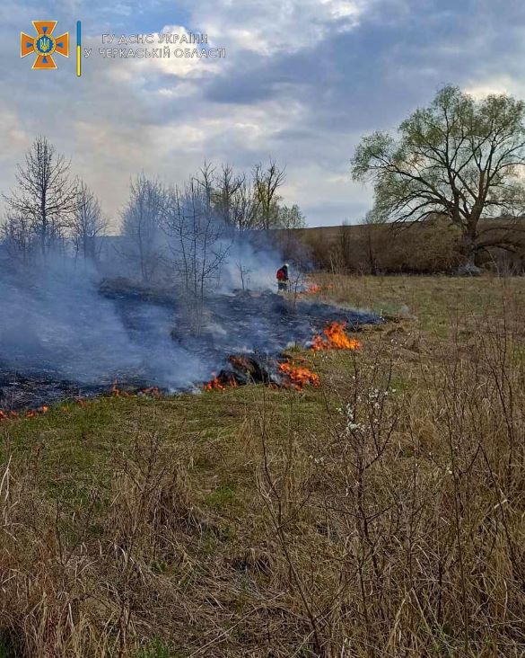 На Черкащині продовжуються пожежі через паління сухої трави