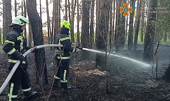 На Черкащині ліквідували три пожежі на відкритих територіях