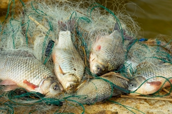 Збитки майже 120 тисяч гривень: на Черкащині судитимуть рибалку