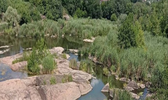 Правоохоронці з'ясовують, чому в річці на Черкащині знизився рівень води