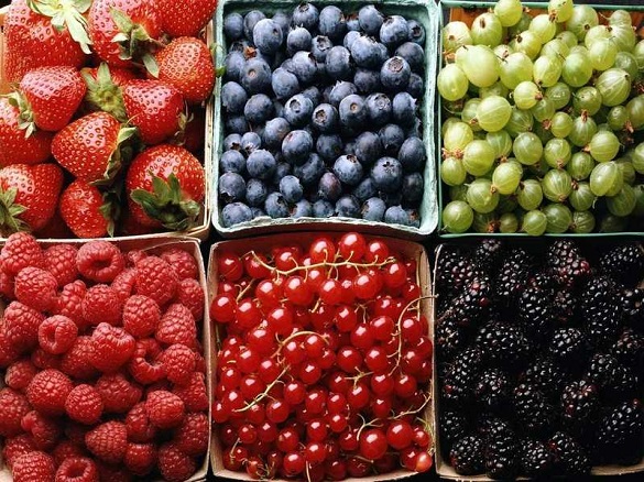 Як перевіряють фрукти та ягоди на ринках Черкаської області