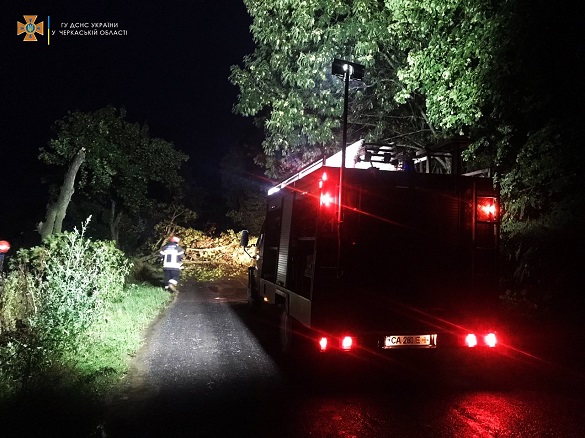 На Черкащині рятувальники тричі за добу усували наслідки негоди