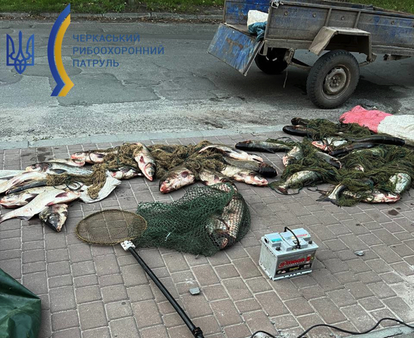 Поблизу Звенигородки браконьєри наловили 160 кг товстолоба (ФОТО)
