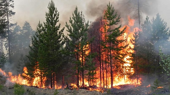 До кінця серпня на Черкащині попереджають про пожежну небезпеку