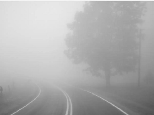 Попереджають про погану видиміть: завтра на Черкащині прогнозують туман