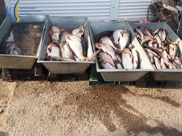 Майже 60 кг риби вилучили в порушників на Черкащині