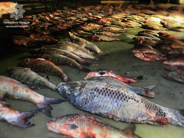 На Черкащині браконьєри незаконно наловили риби на понад 3 млн грн