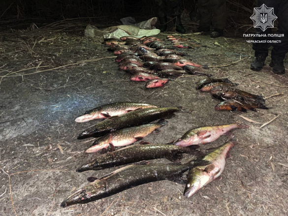 На Черкащині браконьєри наловили риби на понад 100 тис грн (ФОТО)