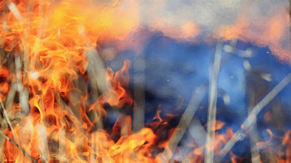 На Золотоніщині рятувальники склали протокол на палія сухої трави