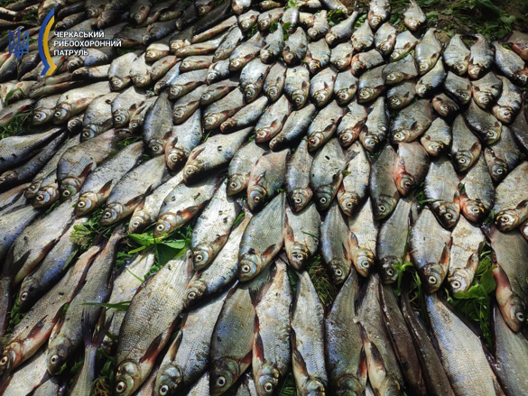 У Золотоніському районі браконьєр наловив риби на понад 2,4 млн грн