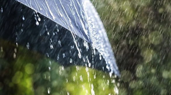 Цього тижня в Черкаській області прогнозують грозові дощі