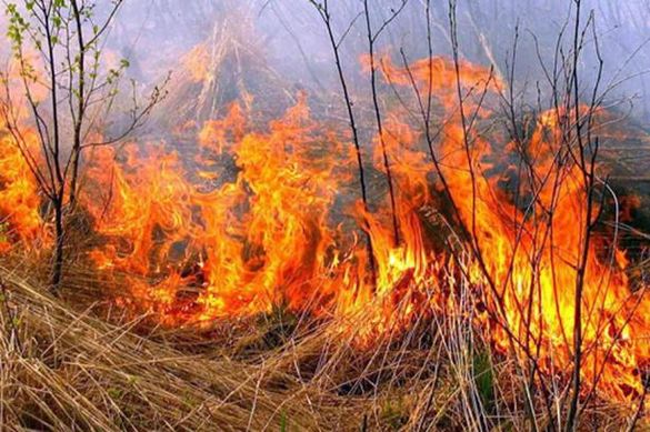 На Черкащині сталася масштабна пожежа сухої трави