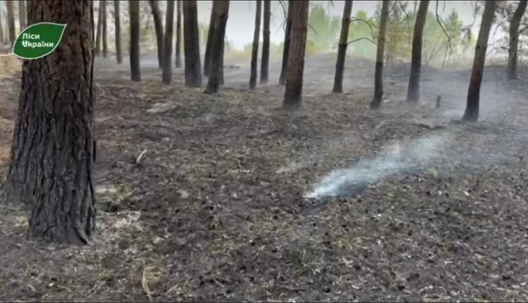 На Черкащині сталася пожежа лісу