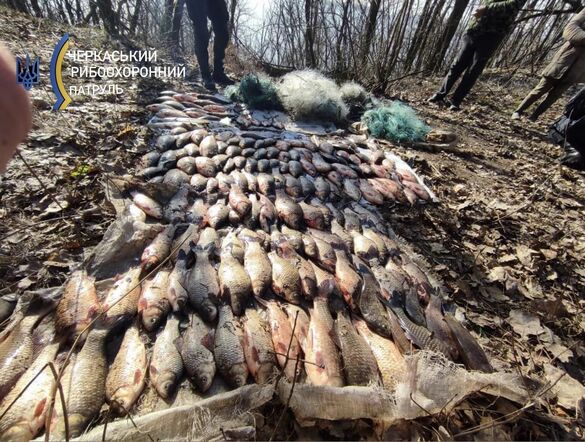 На Золотоніщині виявили браконьєрку, яка завдала збитків рибгоспу на понад 200 тисяч