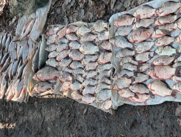 На Черкащині чоловік наловив риби на 400 тисяч