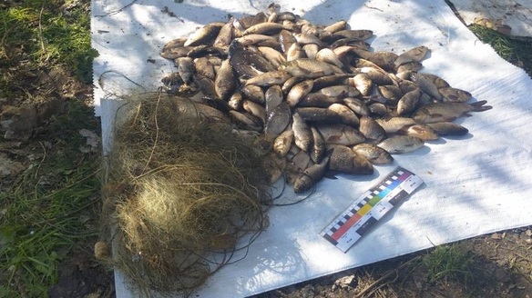 На Черкащині рибалки незаконно наловили риби майже на 400 тисяч